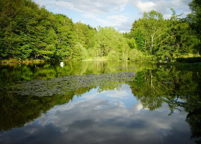 Canopee * Saint-Nabord